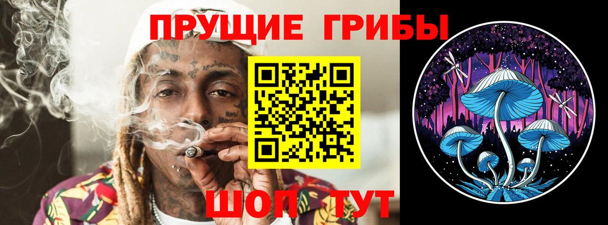 Галлюциногенные грибы Psilocybine cubensis Фрязино