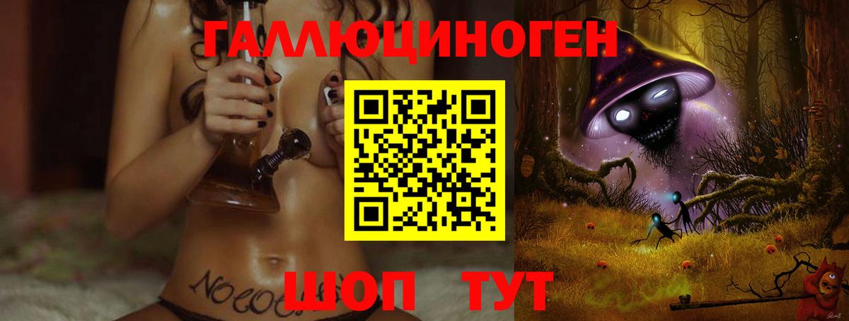 Галлюциногенные грибы MAGIC MUSHROOMS  Вход с VPN  Фрязино  Галлюциногенные грибы GOLDEN TEACHER 